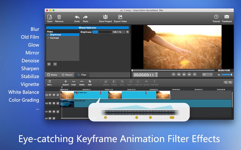 Video editor pro for mac mac